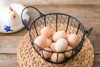 Ceramic Chicken Egg Storage Basket with Metal Mesh